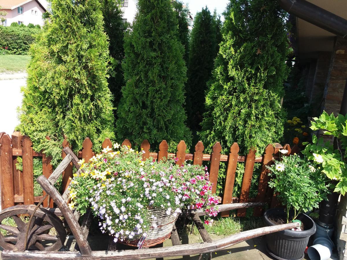 Centar! Lara Zlatibor Apartamento Exterior foto